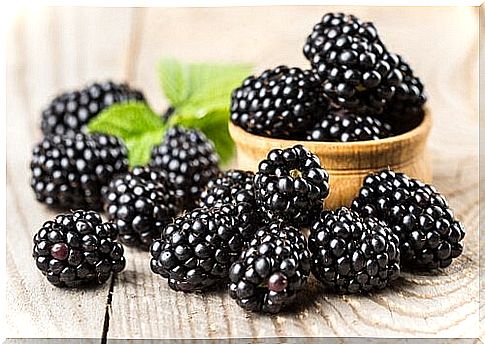 Blackberries help to increase your children's concentration