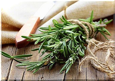 Rosemary helps to increase your children's concentration