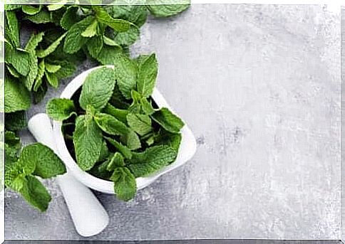 3 Mint Solutions for Digestive Problems