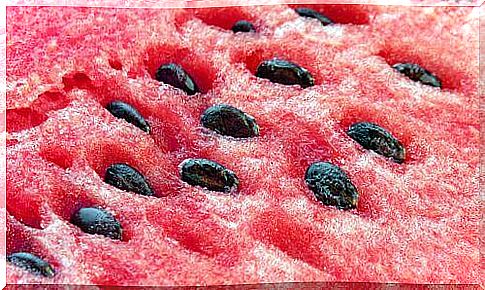 watermelon seeds