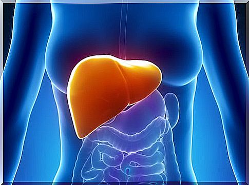 The Benefits of Turmeric for the Liver