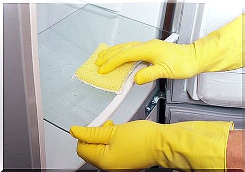 woman keeping the fridge clean