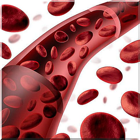 Anemia: everything you need to know about this condition