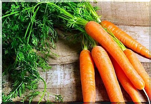 Carrot for vegetable pasta