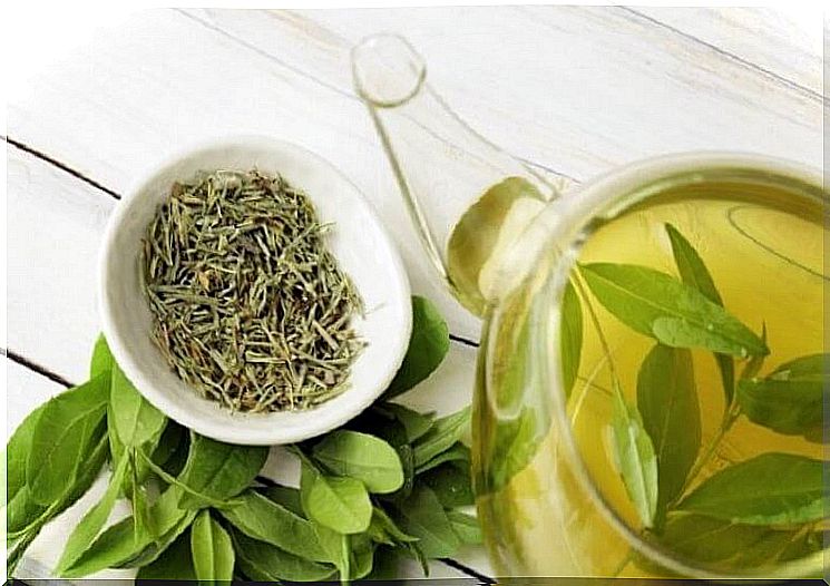 Green tea helps fight premature aging