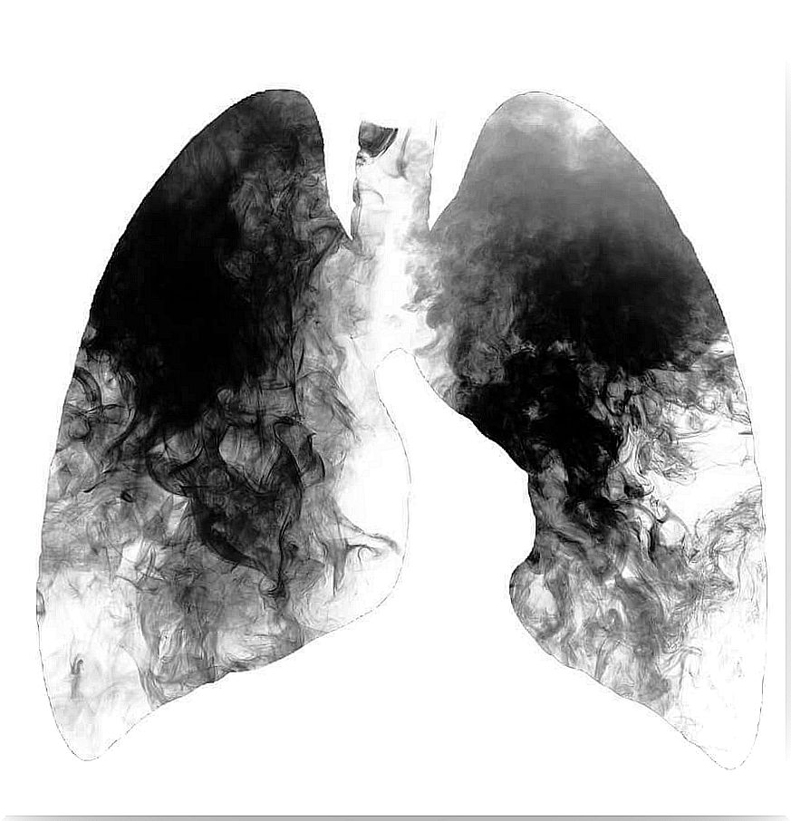 clear lungs