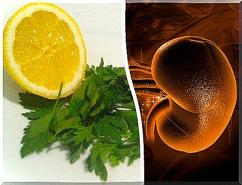 Home remedy with parsley and lemon to cleanse the kidneys