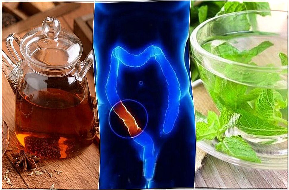 How To Prepare 5 Medicinal Teas To Clean Your Colon Naturally