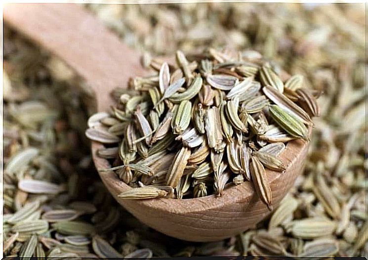 Fennel Seed Tea