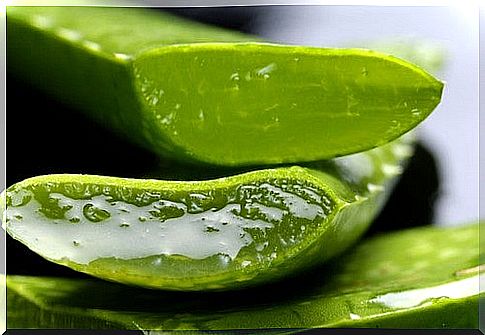 Aloe vera to treat foot fungus