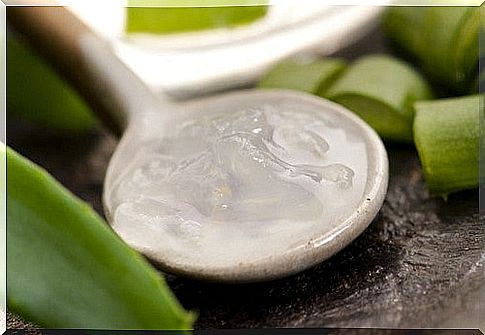 Aloe vera remedy for foot fungus