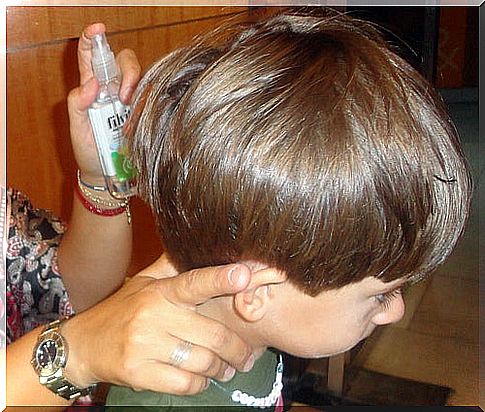 Head lice treatment