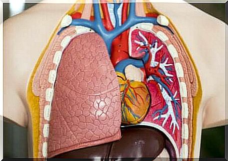 Lung transplantation is a complex surgery