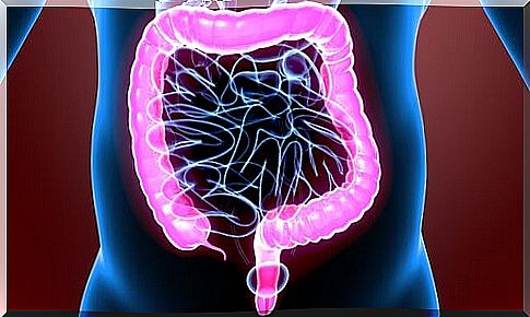 Physiology of the Large Intestine