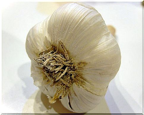 garlic to fight hypertension