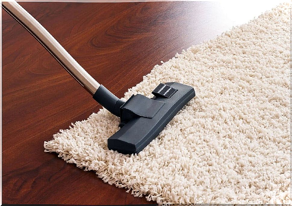 vacuum the carpet