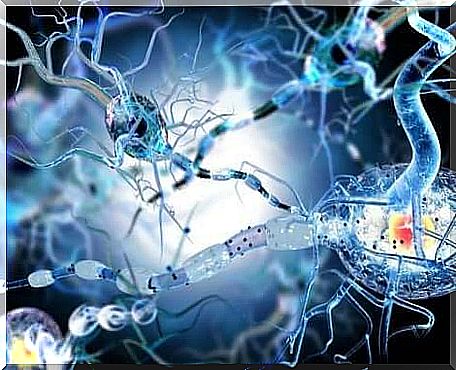 Neuronal Discharge in Epilepsy Seizures